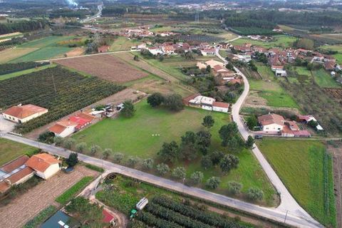 Helårsgrund i Anadia, Aveiro, Anadia - € 150.000 | Ref: T-30567 - foto 11