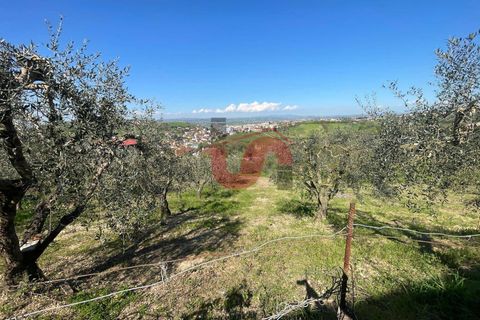 Villa i Benevento, Benevento, Benevento - € 239.000 | Ref: AA39874 - foto 42