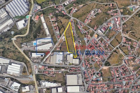 Helårsgrund i Sintra, Lisbon, Sintra - € 475.000 | Ref: T-27811 - foto 4