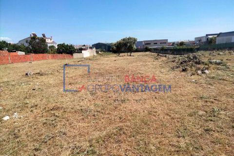 Helårsgrund i Sintra, Lisbon, Sintra - € 475.000 | Ref: T-27811 - foto 6