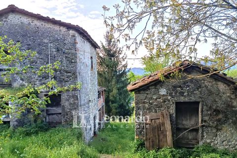 Villa i Barga, Lucca, Barga - € 100.000 | Ref: BA495 - foto 3