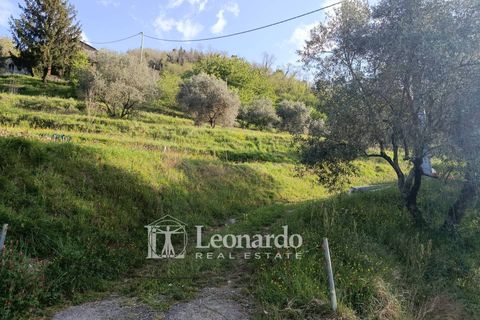 Villa i Barga, Lucca, Barga - € 100.000 | Ref: BA495 - foto 4
