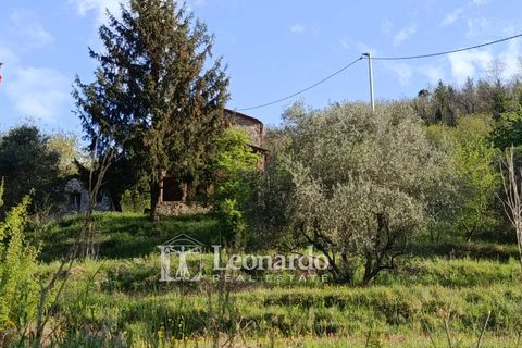 Villa i Barga, Lucca, Barga - € 100.000 | Ref: BA495 - foto 6