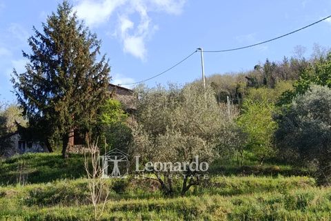 Villa i Barga, Lucca, Barga - € 100.000 | Ref: BA495 - foto 9