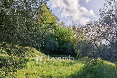 Villa i Barga, Lucca, Barga - € 100.000 | Ref: BA495 - foto 11