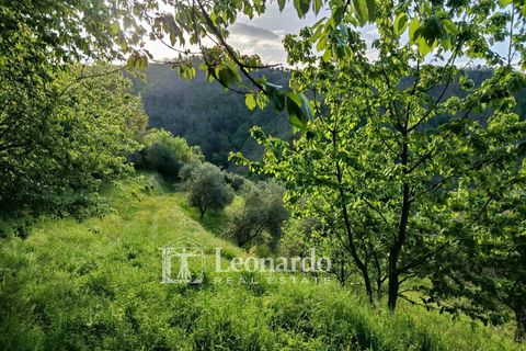 Villa i Barga, Lucca, Barga - € 100.000 | Ref: BA495 - foto 13