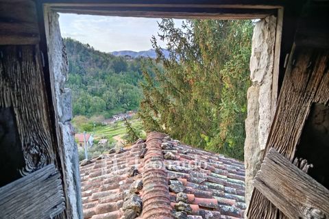 Villa i Barga, Lucca, Barga - € 100.000 | Ref: BA495 - foto 16