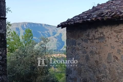 Villa i Barga, Lucca, Barga - € 100.000 | Ref: BA495 - foto 17