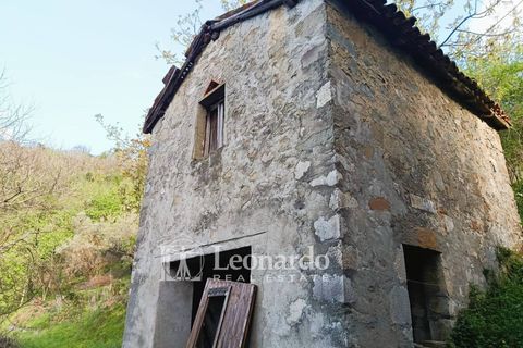 Villa i Barga, Lucca, Barga - € 100.000 | Ref: BA495 - foto 27