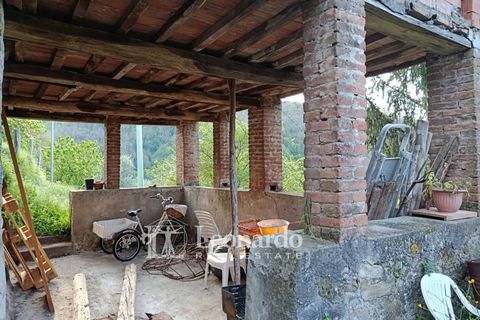 Villa i Barga, Lucca, Barga - € 100.000 | Ref: BA495 - foto 38