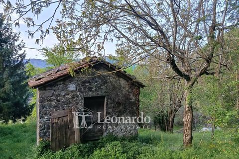Villa i Barga, Lucca, Barga - € 100.000 | Ref: BA495 - foto 40