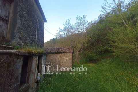 Villa i Barga, Lucca, Barga - € 100.000 | Ref: BA495 - foto 42