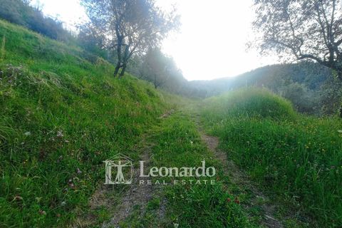 Villa i Barga, Lucca, Barga - € 100.000 | Ref: BA495 - foto 48