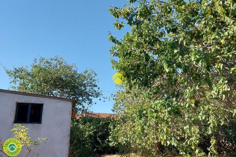 Villa i Hyds, Allier, Hyds - € 25.000 | Ref: 78CAL111537 - foto 8
