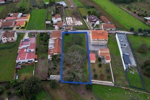 Helårsgrund i Anadia, Aveiro, Anadia - € 70.000 | Ref: T-30565 - foto 1