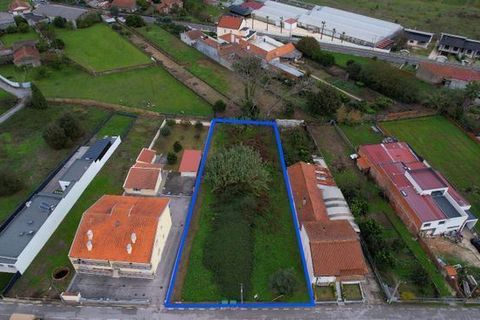 Helårsgrund i Anadia, Aveiro, Anadia - € 70.000 | Ref: T-30565 - foto 2