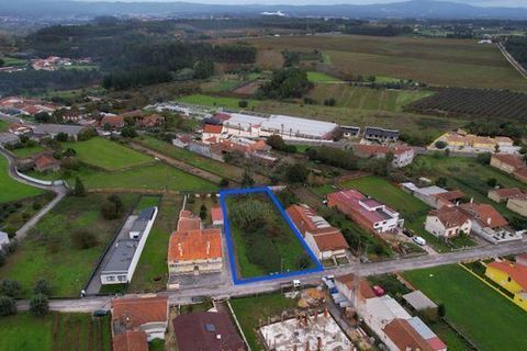 Helårsgrund i Anadia, Aveiro, Anadia - € 70.000 | Ref: T-30565 - foto 3