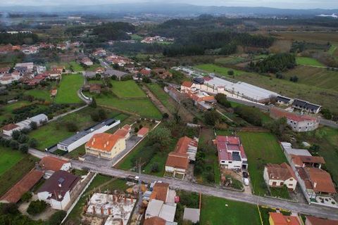 Helårsgrund i Anadia, Aveiro, Anadia - € 70.000 | Ref: T-30565 - foto 6