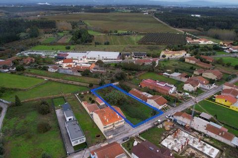 Helårsgrund i Anadia, Aveiro, Anadia - € 70.000 | Ref: T-30565 - foto 7
