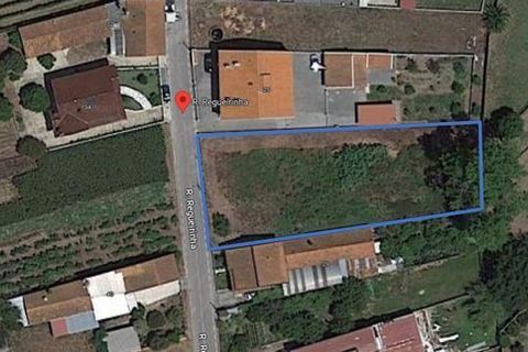 Grond in Anadia, Aveiro, Anadia - € 70.000 | Ref: T-30565 - foto 8