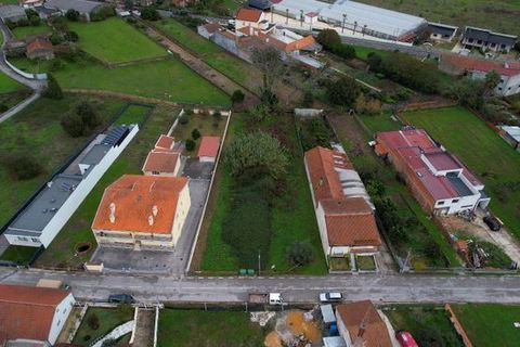 Helårsgrund i Anadia, Aveiro, Anadia - € 70.000 | Ref: T-30565 - foto 8