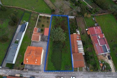 Helårsgrund i Anadia, Aveiro, Anadia - € 70.000 | Ref: T-30565 - foto 9