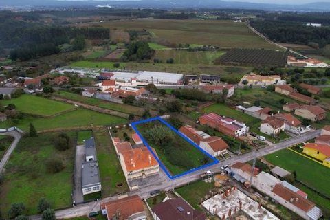 Helårsgrund i Anadia, Aveiro, Anadia - € 70.000 | Ref: T-30565 - foto 10