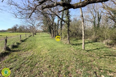 Villa i Chambon, Cher, Chambon - € 130.000 | Ref: 27CAL111522 - foto 19