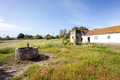 Byhus i Coruche, Santarem, Coruche - € 96.150 | Ref: M-30562 - foto 3