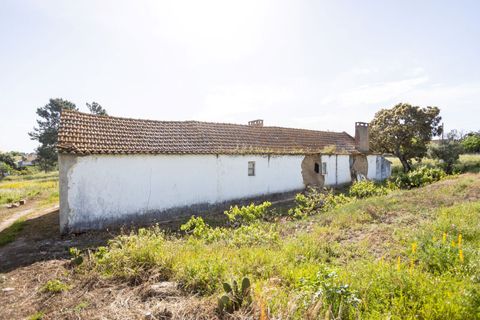 Byhus i Coruche, Santarem, Coruche - € 96.150 | Ref: M-30562 - foto 4