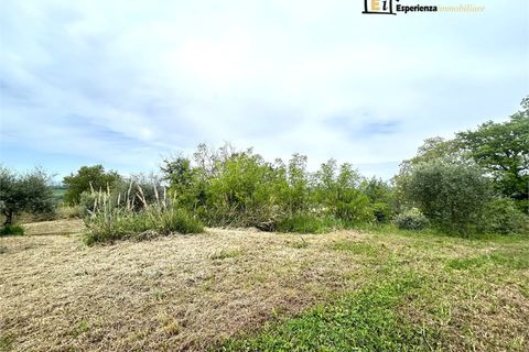 Villa i Collevecchio, Rieti, Collevecchio - € 120.000 | Ref: BCE-808 - foto 17