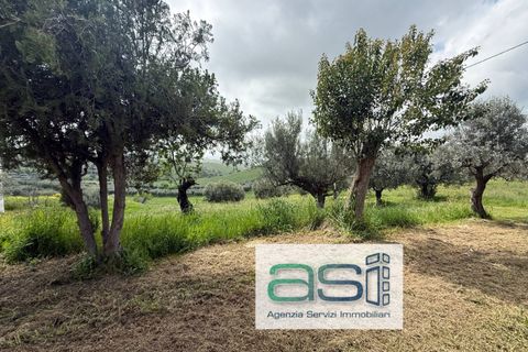 Villa a Controguerra, Teramo, Controguerra - € 110.000 | Ref: 40/CS - foto 3