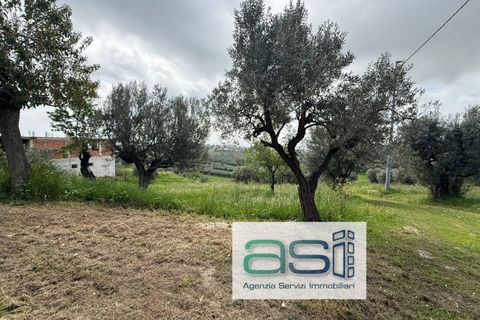 Villa a Controguerra, Teramo, Controguerra - € 110.000 | Ref: 40/CS - foto 5
