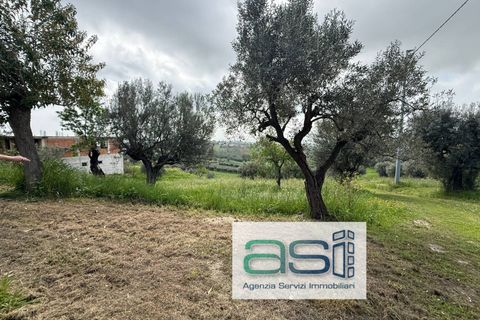 Villa a Controguerra, Teramo, Controguerra - € 110.000 | Ref: 40/CS - foto 16