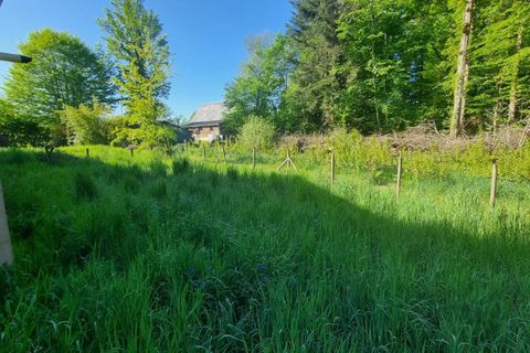 Bungalou a Lapleau, Correze, Lapleau - € 486/mes | Ref: USS00470004 - foto 20