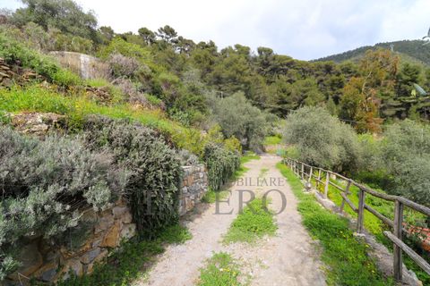 Villa i Perinaldo, Imperia, Perinaldo - € 220.000 | Ref: 23858 - foto 39