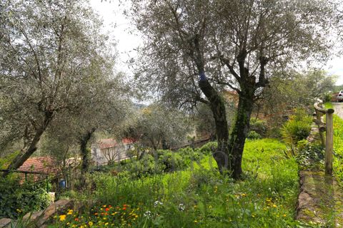 Villa i Perinaldo, Imperia, Perinaldo - € 220.000 | Ref: 23858 - foto 41