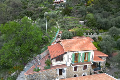 Villa i Perinaldo, Imperia, Perinaldo - € 220.000 | Ref: 23858 - foto 47