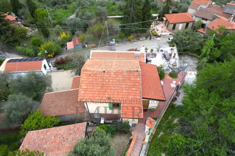 Villa i Perinaldo, Imperia, Perinaldo - € 220.000 | Ref: 23858 - foto 48