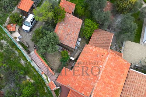 Villa i Perinaldo, Imperia, Perinaldo - € 220.000 | Ref: 23858 - foto 49