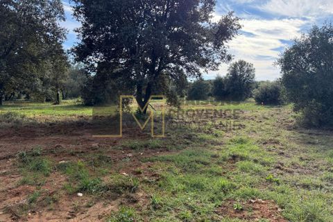 Villa a Saint-Siffret, Gard, Saint-Siffret - € 269.000 | Ref: STSIF2104LIN6 - foto 6