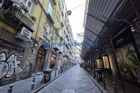 Erhvervsejendom i Naples, Naples, Naples - € 325.000 | Ref: toledo - foto 5