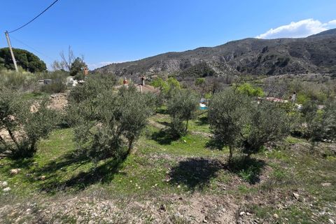 Cortijo i Seron, Almeria, Seron - € 345.000 | Ref: A1486 - foto 30