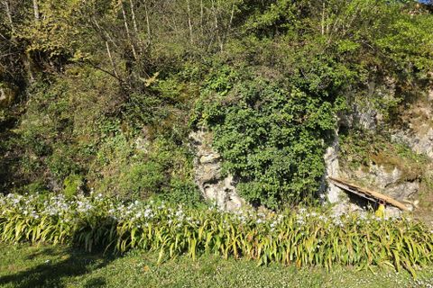 Villa i Montaigu-de-Quercy, Tarn-et-Garonne, Montaigu-de-Quercy - € 160.500 | Ref: BVI85068 - foto 10