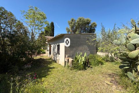 Landejendom i Binissalem, Mallorca, Binissalem - € 260.000 | Ref: P002790/10684 - foto 1