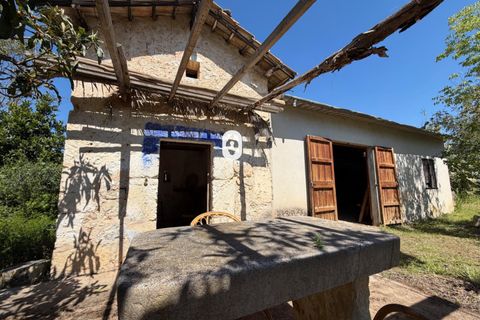 Landejendom i Binissalem, Mallorca, Binissalem - € 260.000 | Ref: P002790/10684 - foto 6
