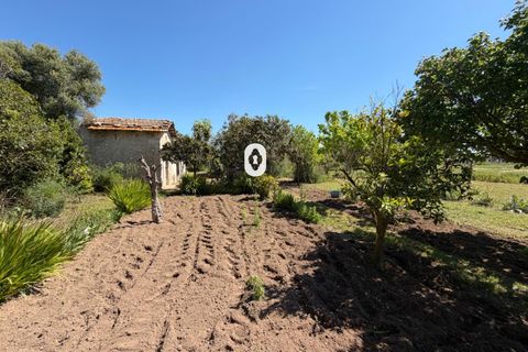 Landejendom i Binissalem, Mallorca, Binissalem - € 260.000 | Ref: P002790/10684 - foto 11