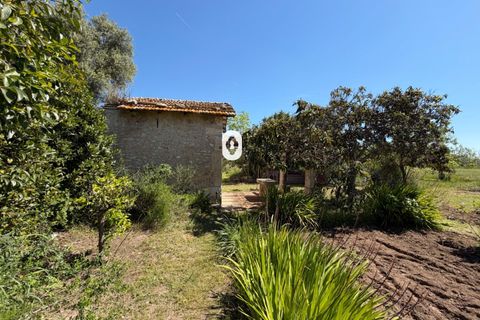 Landejendom i Binissalem, Mallorca, Binissalem - € 260.000 | Ref: P002790/10684 - foto 12