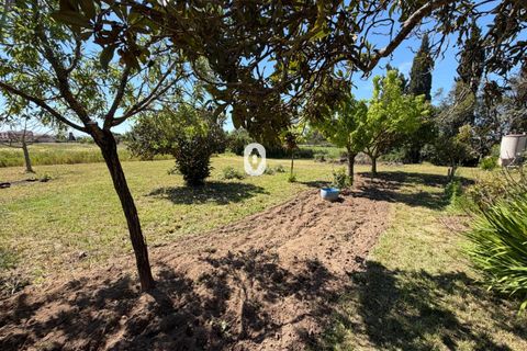 Landejendom i Binissalem, Mallorca, Binissalem - € 260.000 | Ref: P002790/10684 - foto 13