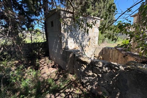 Landejendom i Binissalem, Mallorca, Binissalem - € 260.000 | Ref: P002790/10684 - foto 15